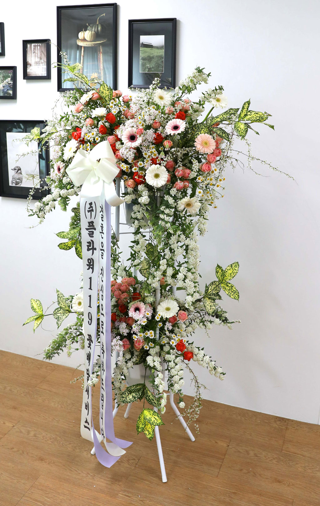 ȥȭȯ - κ ձ濡 ׻ ɱ游 ϱ  ɹ