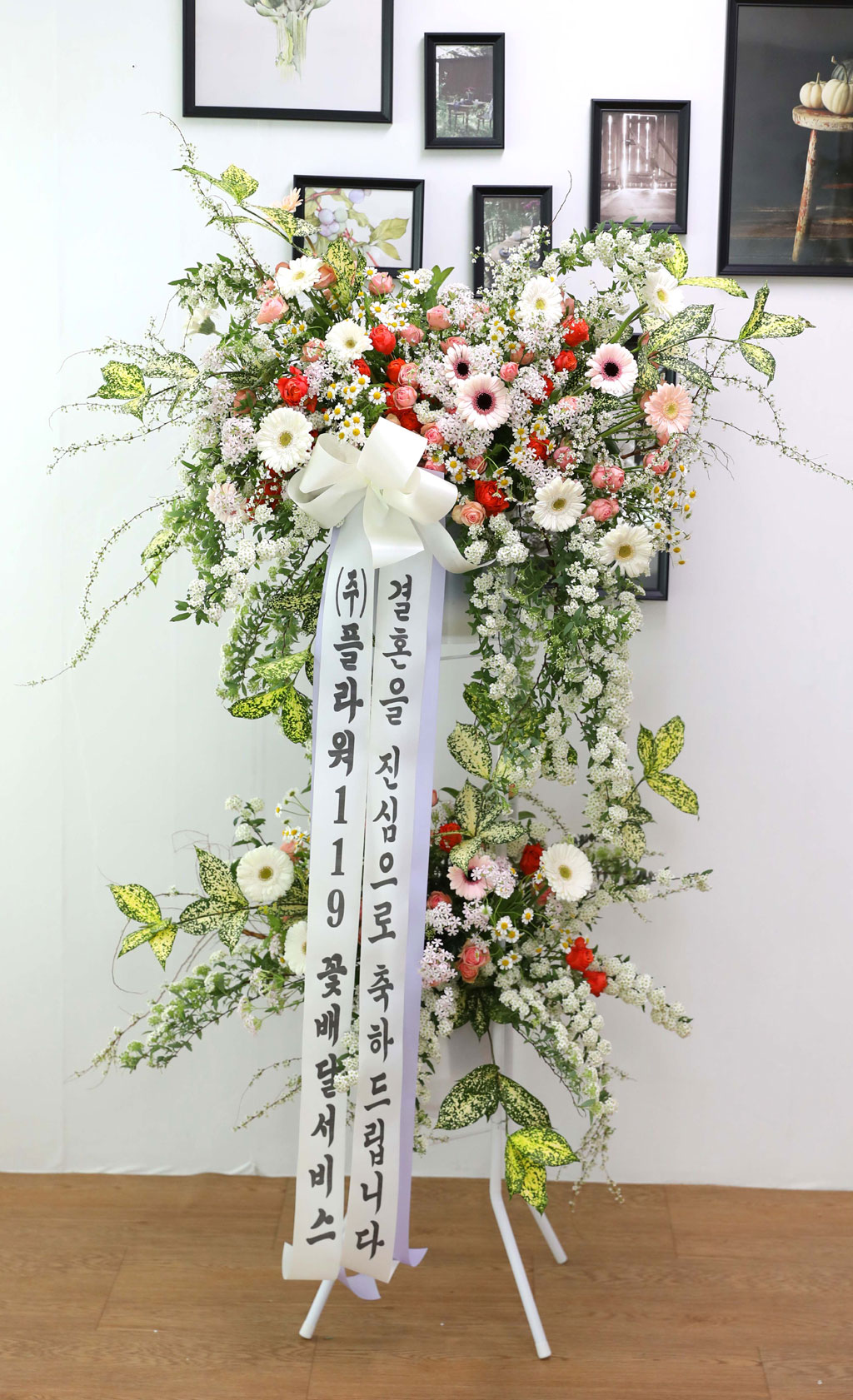 ȥȭȯ - κ ձ濡 ׻ ɱ游 ϱ  ɹ