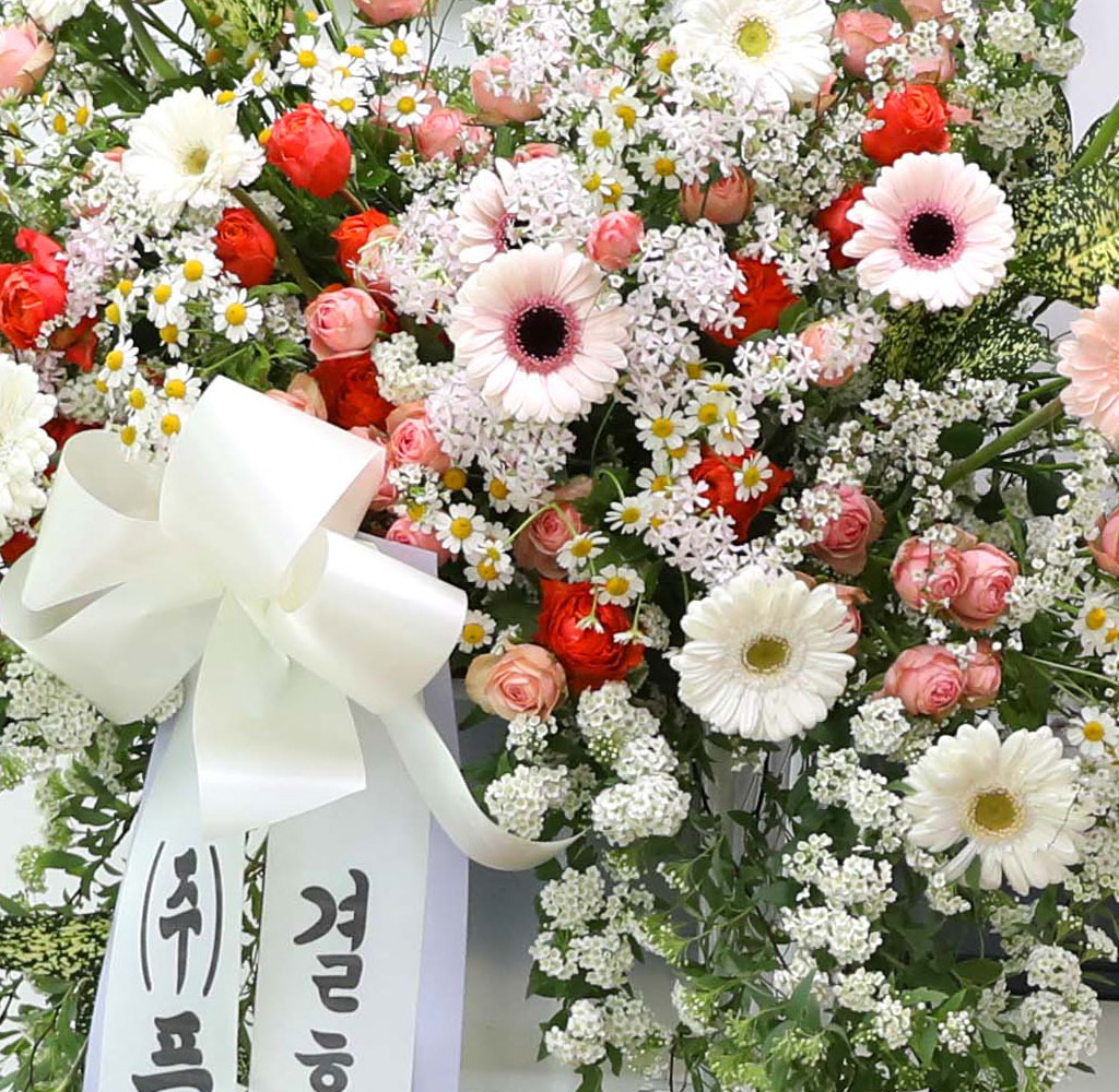 ȥȭȯ - κ ձ濡 ׻ ɱ游 ϱ  ɹ