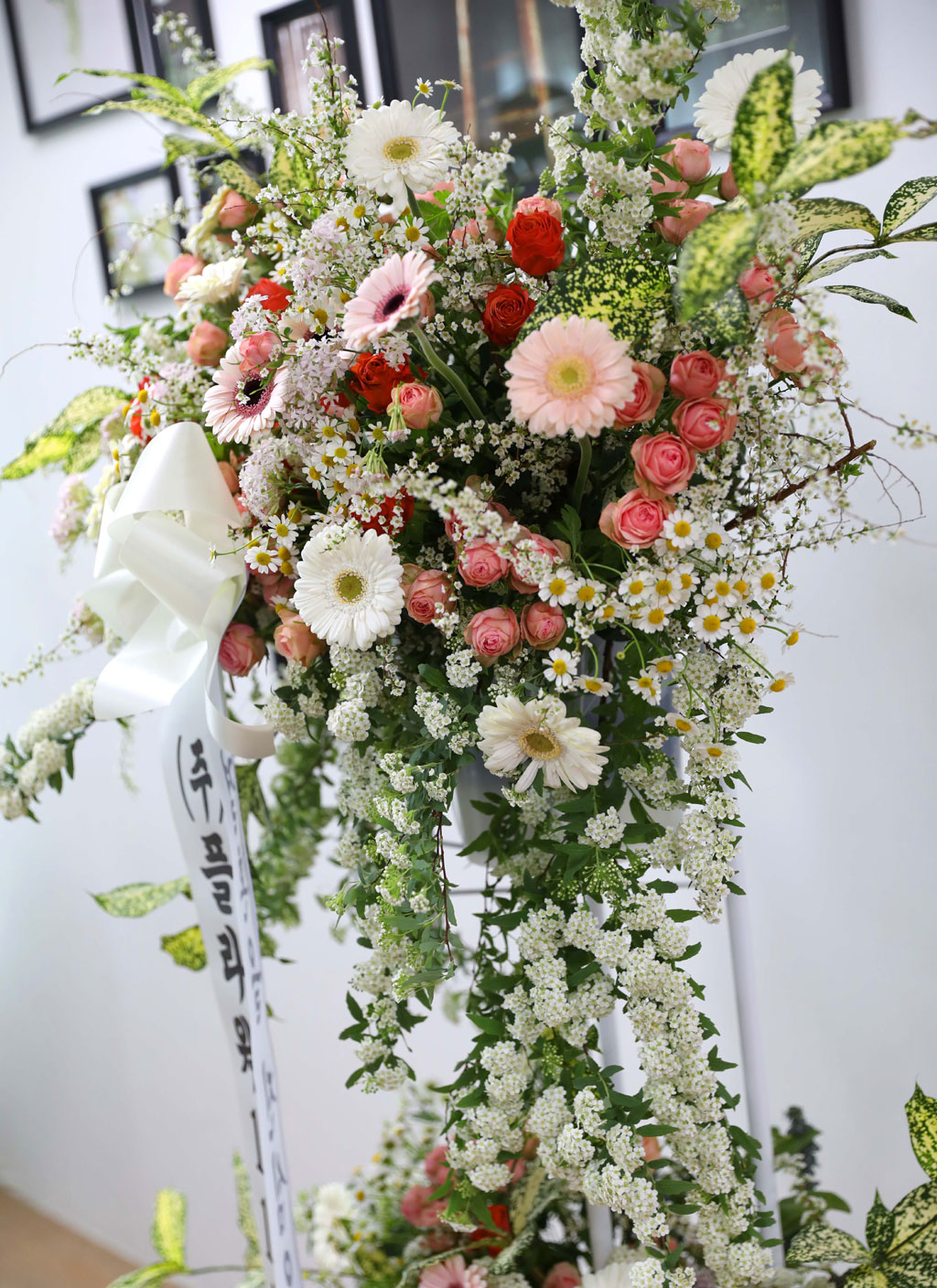 ȥȭȯ - κ ձ濡 ׻ ɱ游 ϱ  ɹ