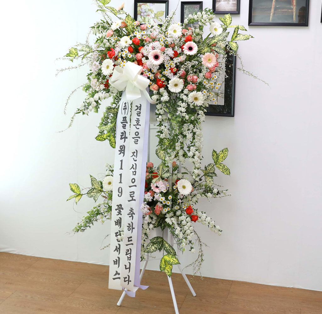 ȥȭȯ - κ ձ濡 ׻ ɱ游 ϱ  ɹ