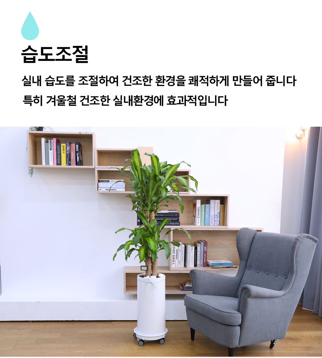 Çà¿îÀ» ºÒ·¯¿À´Â ¾Æ¸§´Ù¿î ½Ç³»½Ä¹° - Çà¿î¸ñ(Áß) ²ÉÁý ²É¹è´Þ