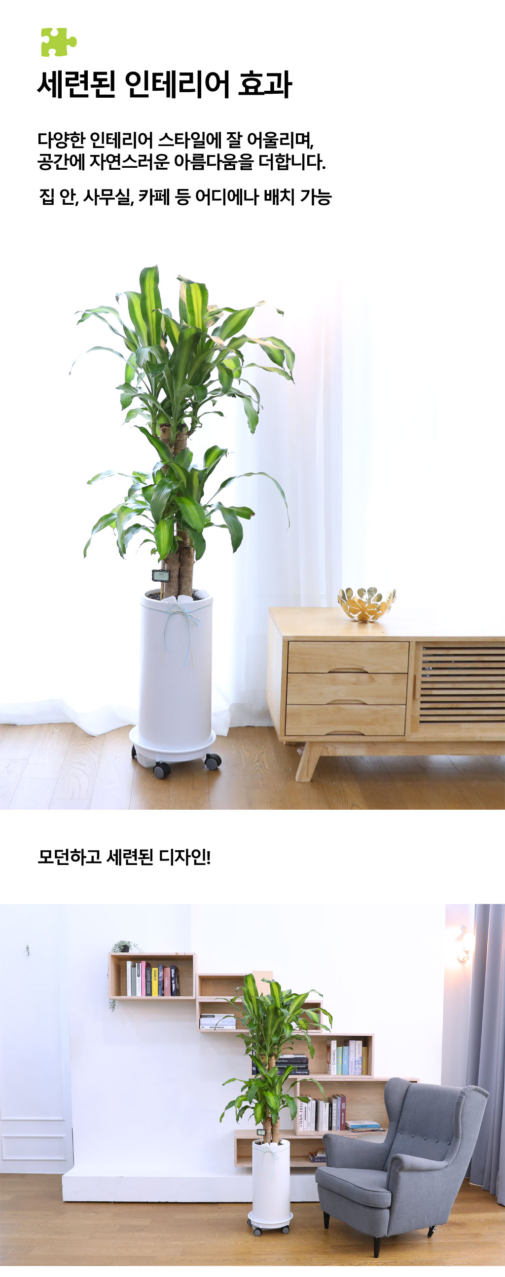 Çà¿îÀ» ºÒ·¯¿À´Â ¾Æ¸§´Ù¿î ½Ç³»½Ä¹° - Çà¿î¸ñ(Áß) ²ÉÁý ²É¹è´Þ