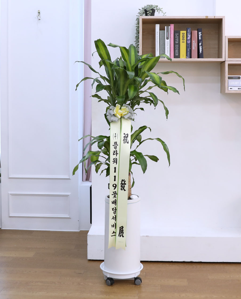 Çà¿îÀ» ºÒ·¯¿À´Â ¾Æ¸§´Ù¿î ½Ç³»½Ä¹° - Çà¿î¸ñ(Áß) ²ÉÁý ²É¹è´Þ