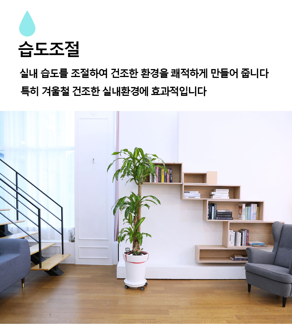 Çà¿îÀ» ºÒ·¯¿À´Â ¾Æ¸§´Ù¿î ½Ç³»½Ä¹° - Çà¿î¸ñ(´ë)