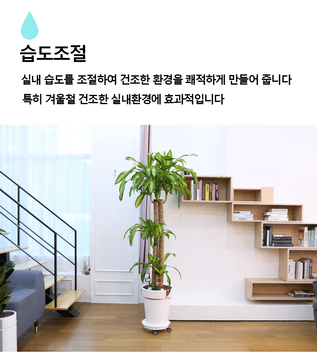  ҷ Ƹٿ ǳĹ - (Ư)  ɹ