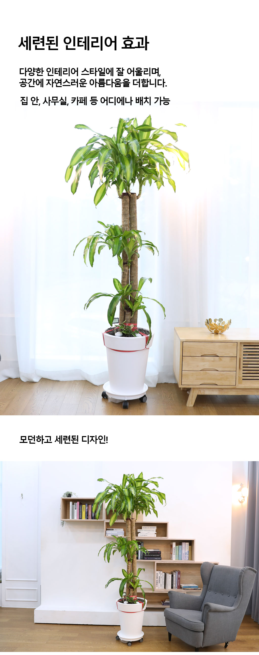  ҷ Ƹٿ ǳĹ - (Ư)  ɹ