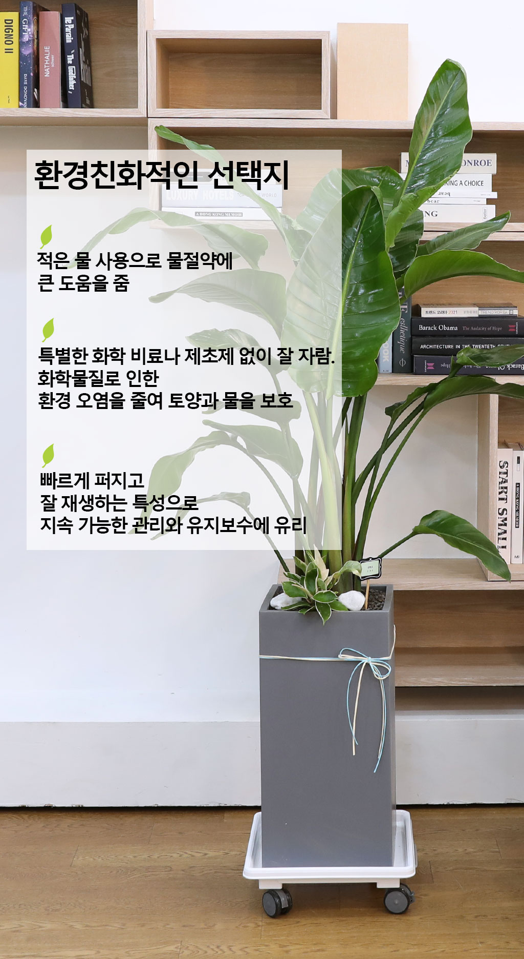 ´ç½ÅÀ» ÁöÄÑÁÖ´Â ÀÚ¿¬ÀÇ ¼ÒÀç - ¿©ÀÎÃÊ(Áß)