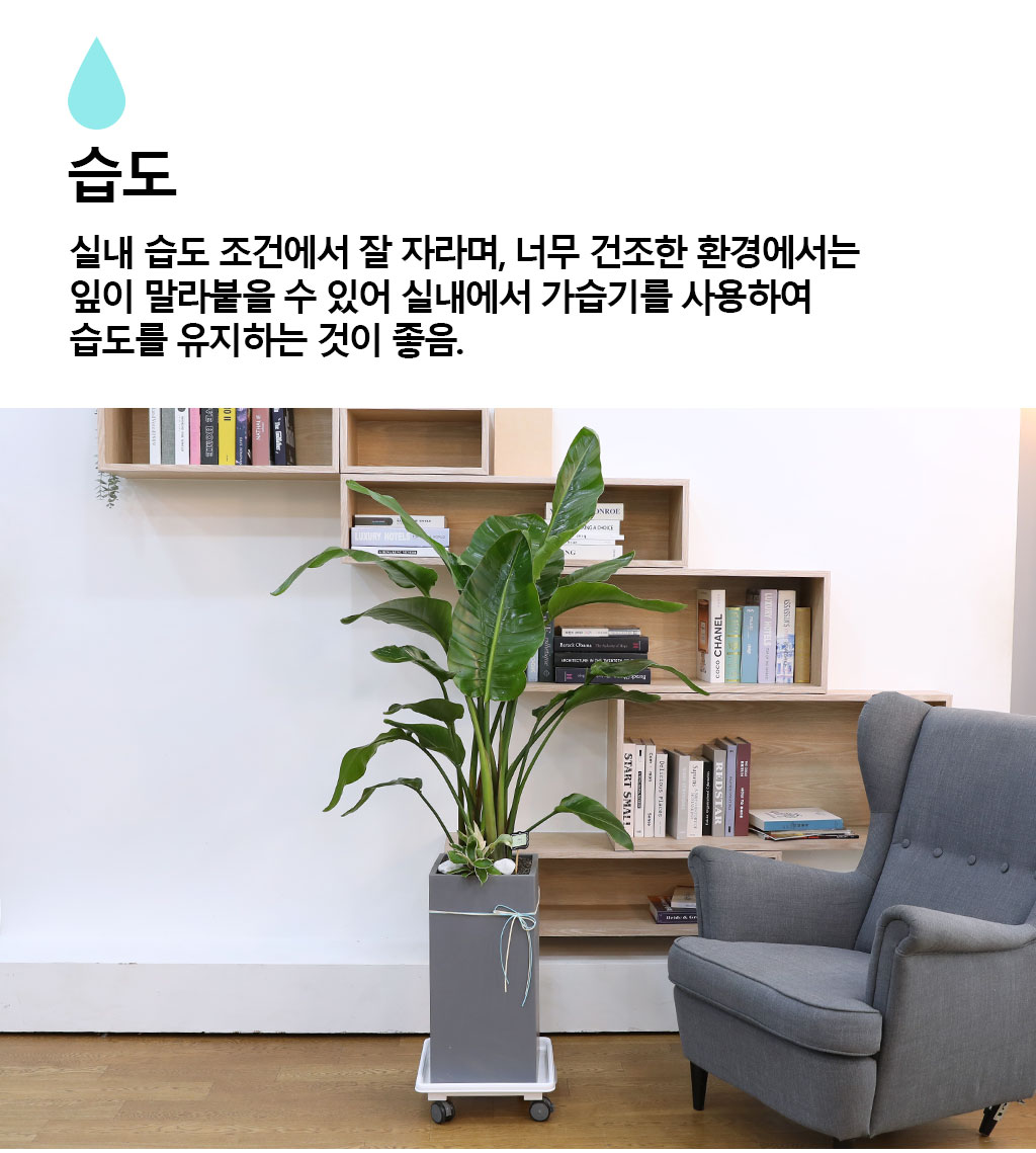 ´ç½ÅÀ» ÁöÄÑÁÖ´Â ÀÚ¿¬ÀÇ ¼ÒÀç - ¿©ÀÎÃÊ(Áß)