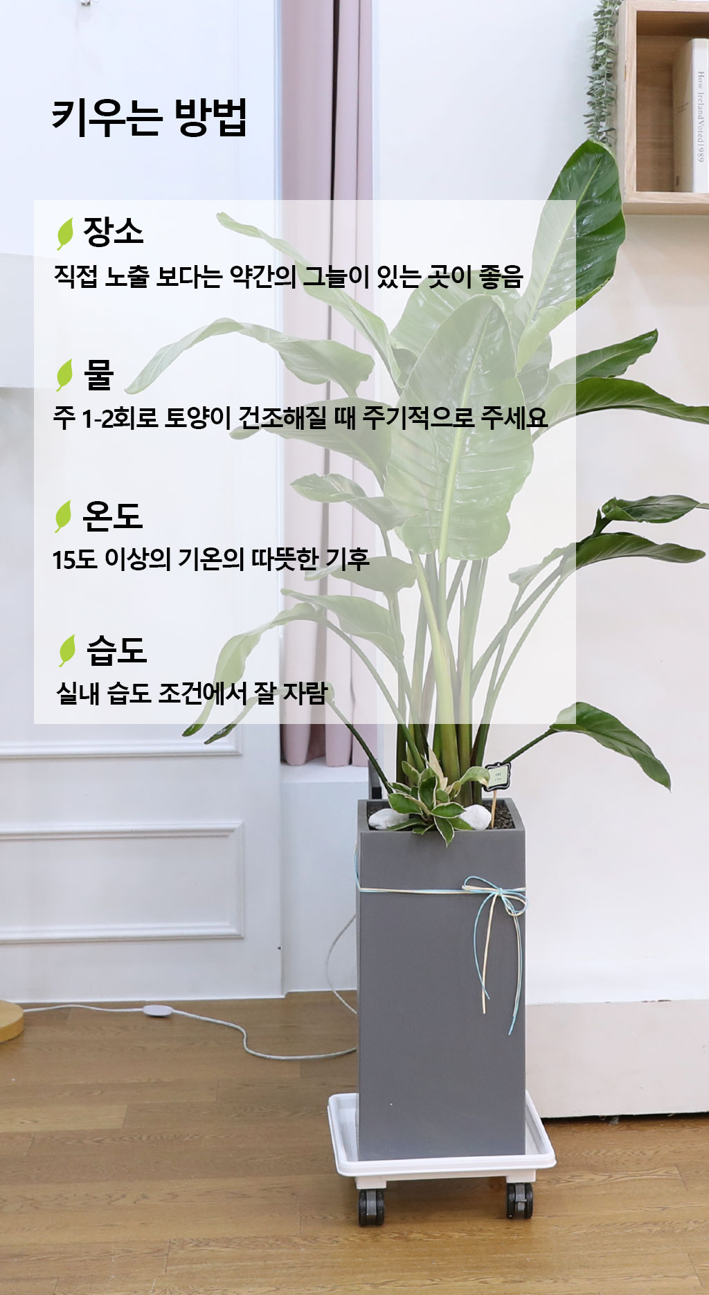 ´ç½ÅÀ» ÁöÄÑÁÖ´Â ÀÚ¿¬ÀÇ ¼ÒÀç - ¿©ÀÎÃÊ(Áß)