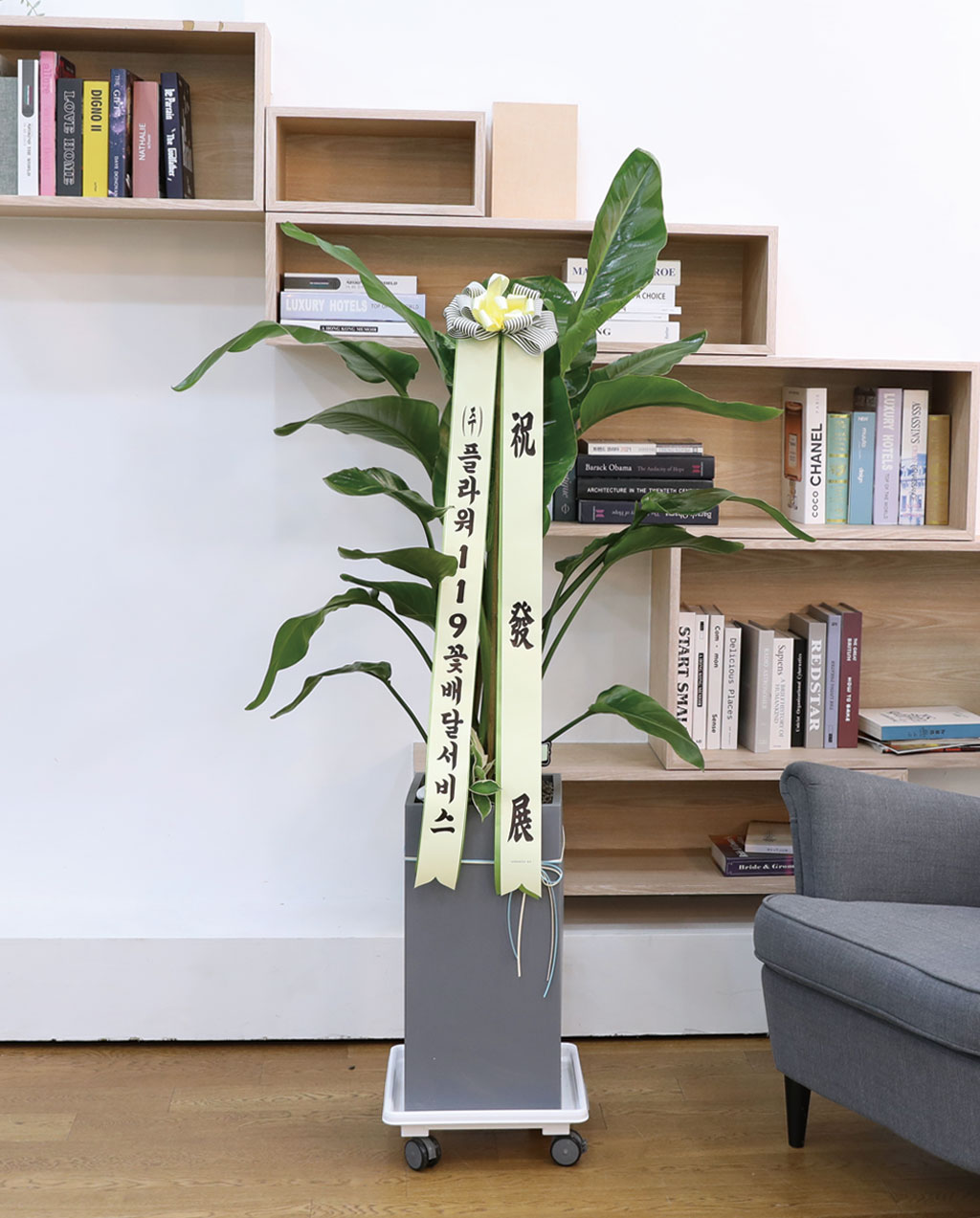 ´ç½ÅÀ» ÁöÄÑÁÖ´Â ÀÚ¿¬ÀÇ ¼ÒÀç - ¿©ÀÎÃÊ(Áß)