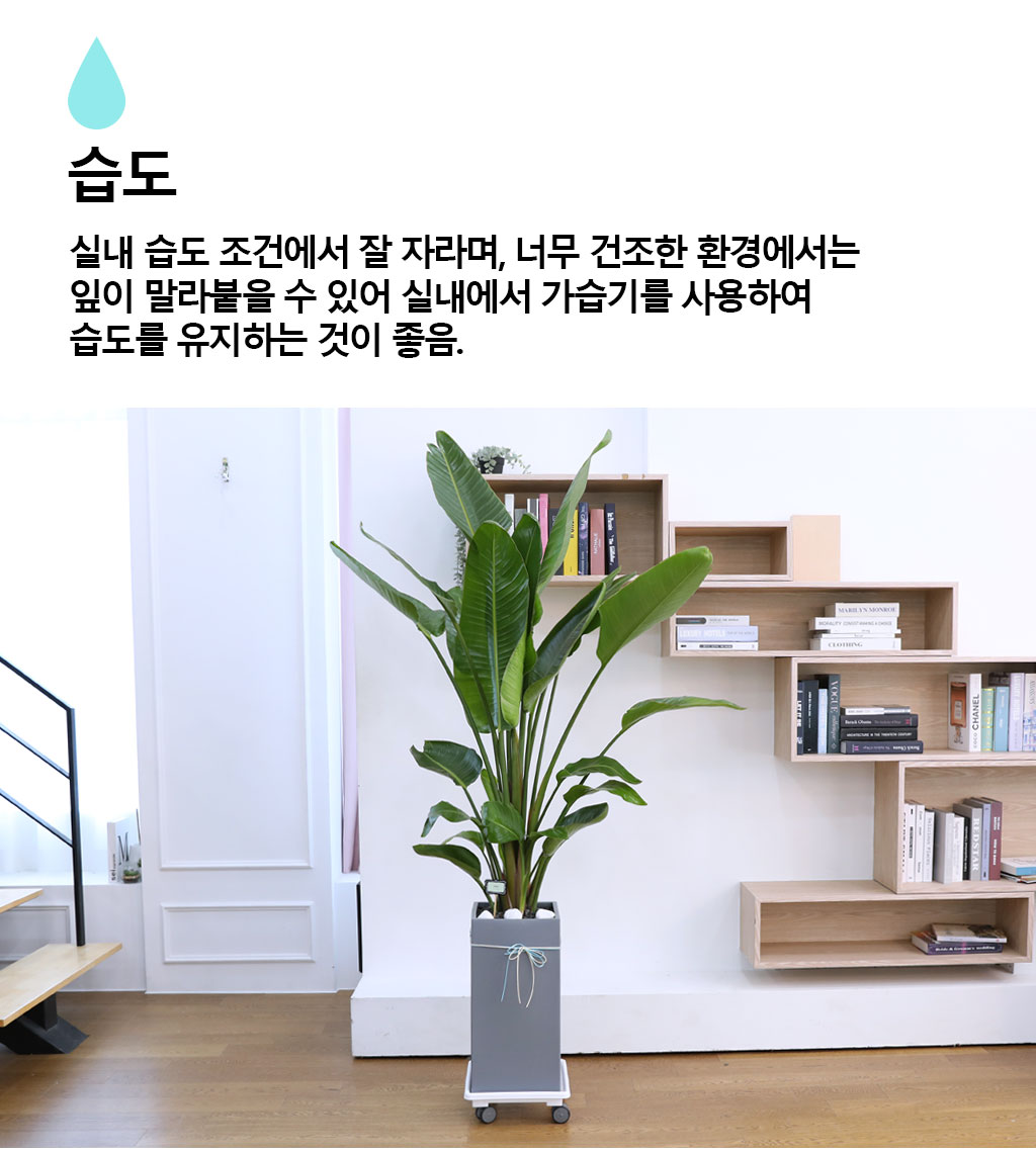 ´ç½ÅÀ» ÁöÄÑÁÖ´Â ÀÚ¿¬ÀÇ ¼ÒÀç - ¿©ÀÎÃÊ(´ë) ²ÉÁý ²É¹è´Þ