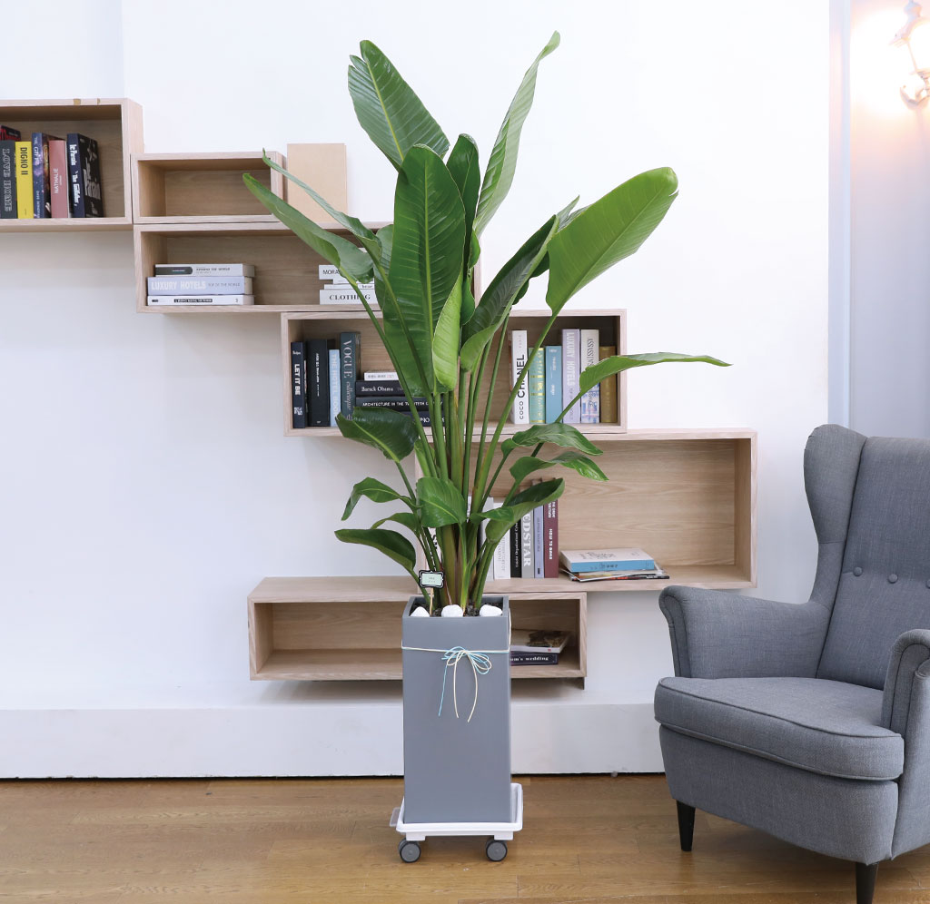 ´ç½ÅÀ» ÁöÄÑÁÖ´Â ÀÚ¿¬ÀÇ ¼ÒÀç - ¿©ÀÎÃÊ(´ë) ²ÉÁý ²É¹è´Þ