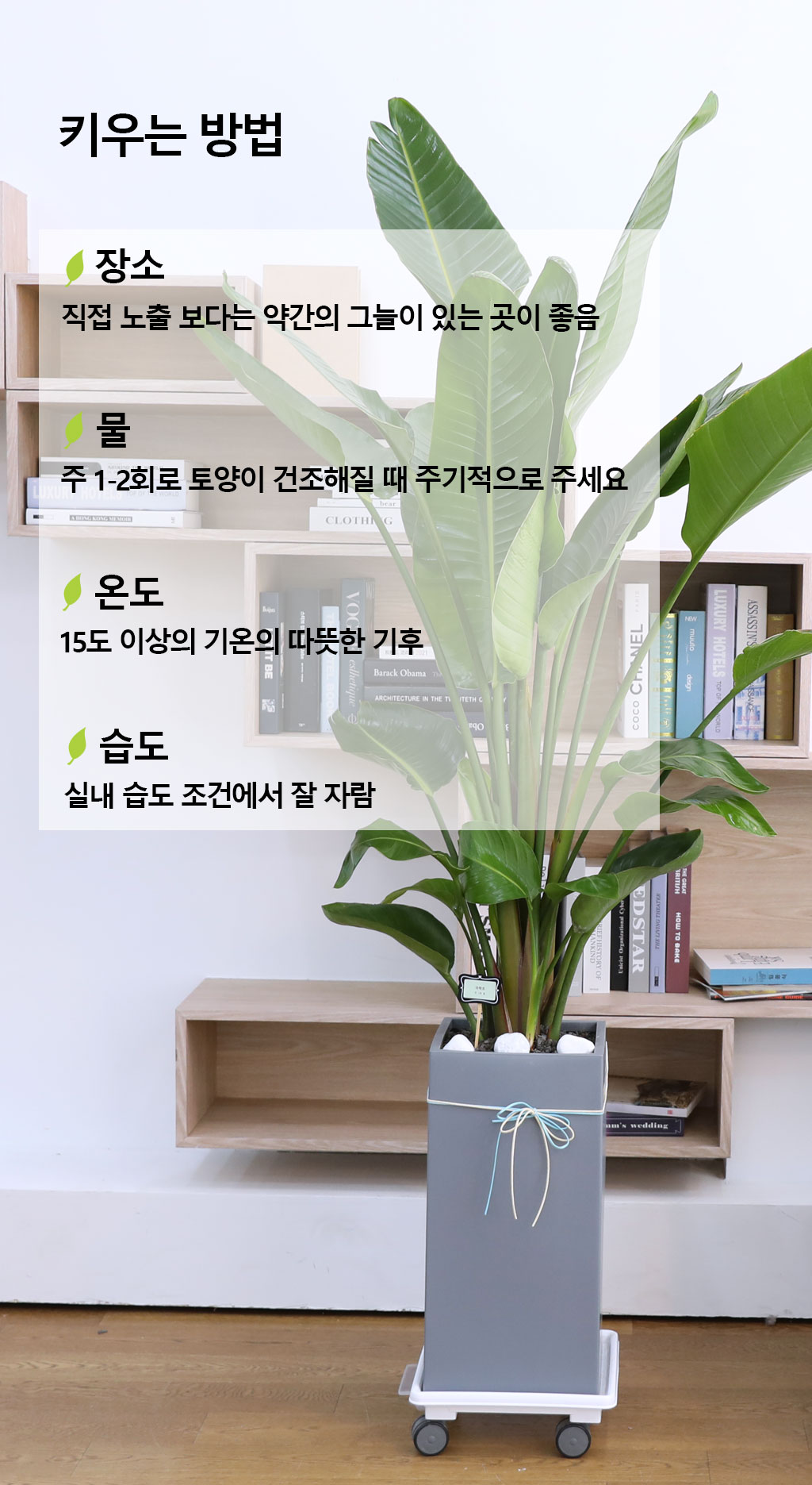 ´ç½ÅÀ» ÁöÄÑÁÖ´Â ÀÚ¿¬ÀÇ ¼ÒÀç - ¿©ÀÎÃÊ(´ë) ²ÉÁý ²É¹è´Þ