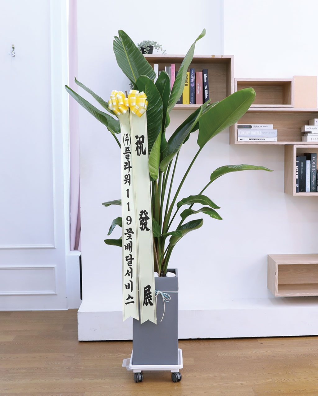 ´ç½ÅÀ» ÁöÄÑÁÖ´Â ÀÚ¿¬ÀÇ ¼ÒÀç - ¿©ÀÎÃÊ(´ë) ²ÉÁý ²É¹è´Þ