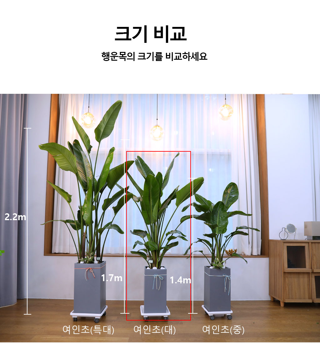 ´ç½ÅÀ» ÁöÄÑÁÖ´Â ÀÚ¿¬ÀÇ ¼ÒÀç - ¿©ÀÎÃÊ(´ë) ²ÉÁý ²É¹è´Þ