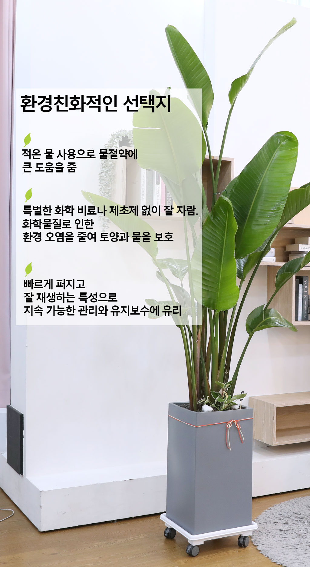 ´ç½ÅÀ» ÁöÄÑÁÖ´Â ÀÚ¿¬ÀÇ ¼ÒÀç - ¿©ÀÎÃÊ(Ư) ²ÉÁý ²É¹è´Þ