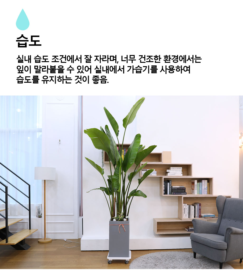 ´ç½ÅÀ» ÁöÄÑÁÖ´Â ÀÚ¿¬ÀÇ ¼ÒÀç - ¿©ÀÎÃÊ(Ư) ²ÉÁý ²É¹è´Þ