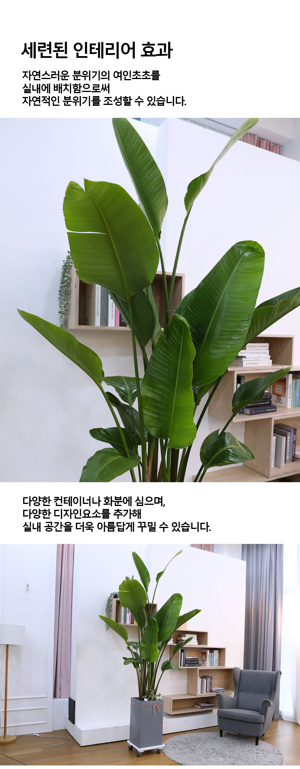 ´ç½ÅÀ» ÁöÄÑÁÖ´Â ÀÚ¿¬ÀÇ ¼ÒÀç - ¿©ÀÎÃÊ(Ư) ²ÉÁý ²É¹è´Þ