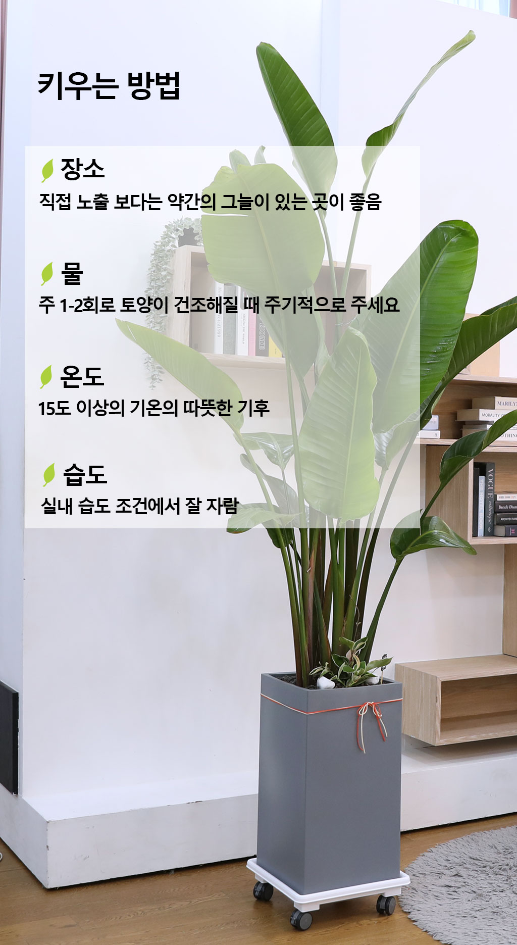 ´ç½ÅÀ» ÁöÄÑÁÖ´Â ÀÚ¿¬ÀÇ ¼ÒÀç - ¿©ÀÎÃÊ(Ư) ²ÉÁý ²É¹è´Þ