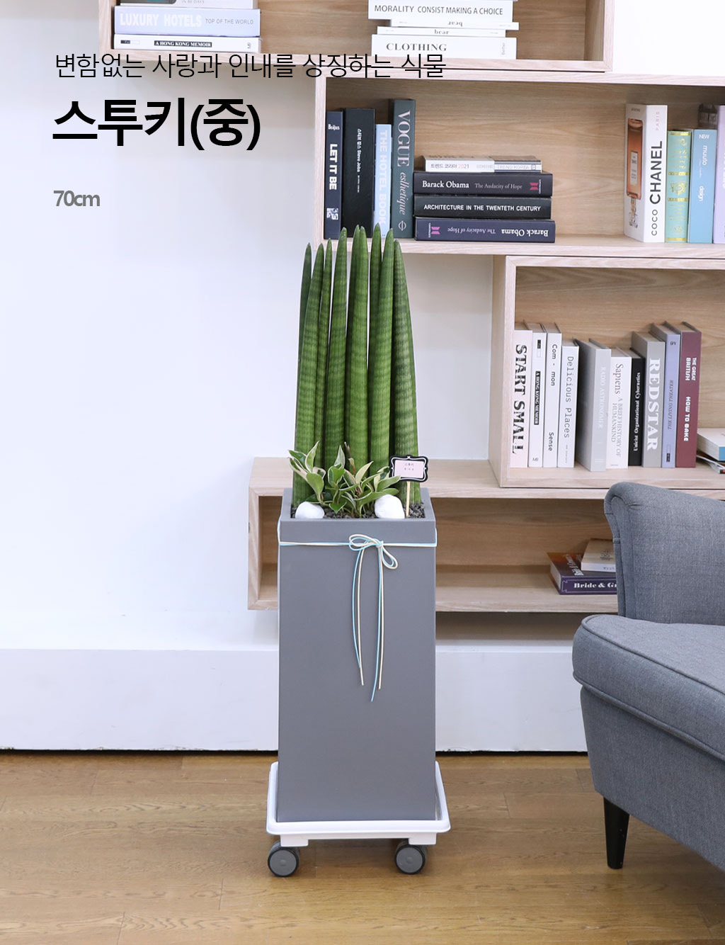 Ծ  γ ¡ϴ Ĺ - Ű()  ɹ