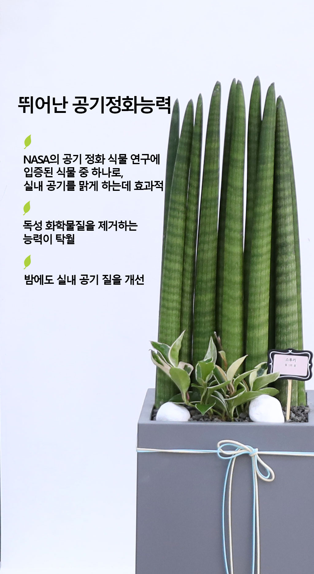 Ծ  γ ¡ϴ Ĺ - Ű()  ɹ