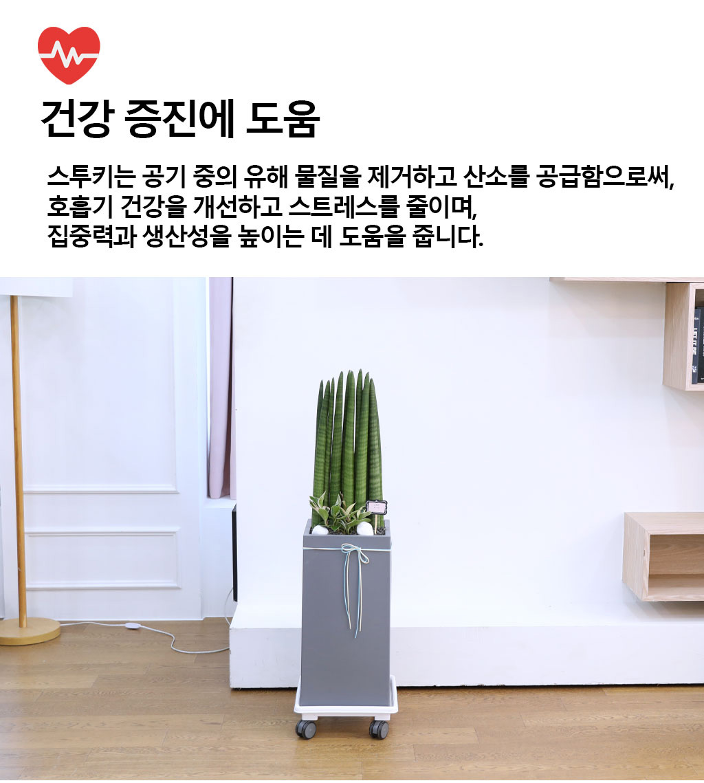 Ծ  γ ¡ϴ Ĺ - Ű()  ɹ