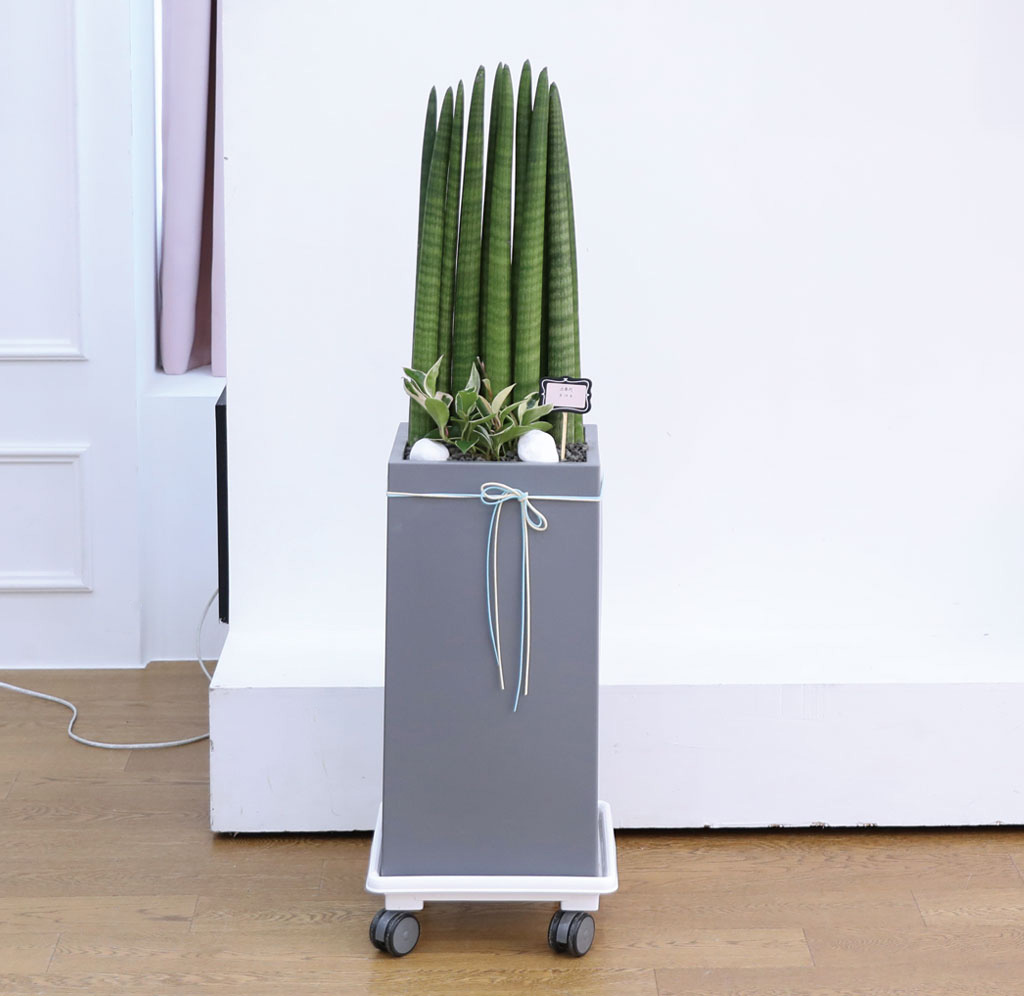 Ծ  γ ¡ϴ Ĺ - Ű()  ɹ