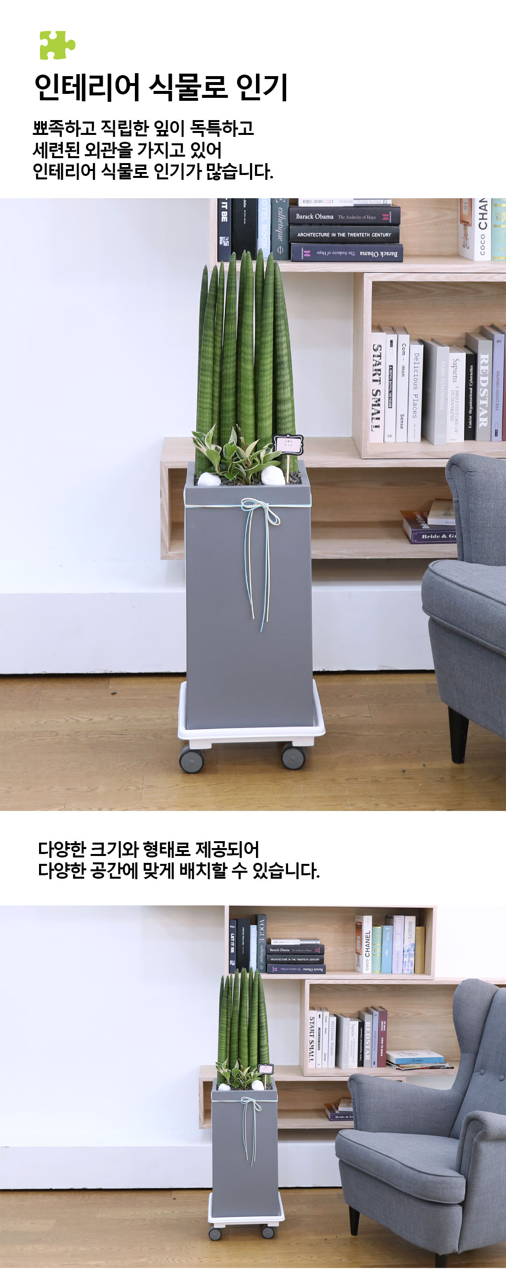 Ծ  γ ¡ϴ Ĺ - Ű()  ɹ