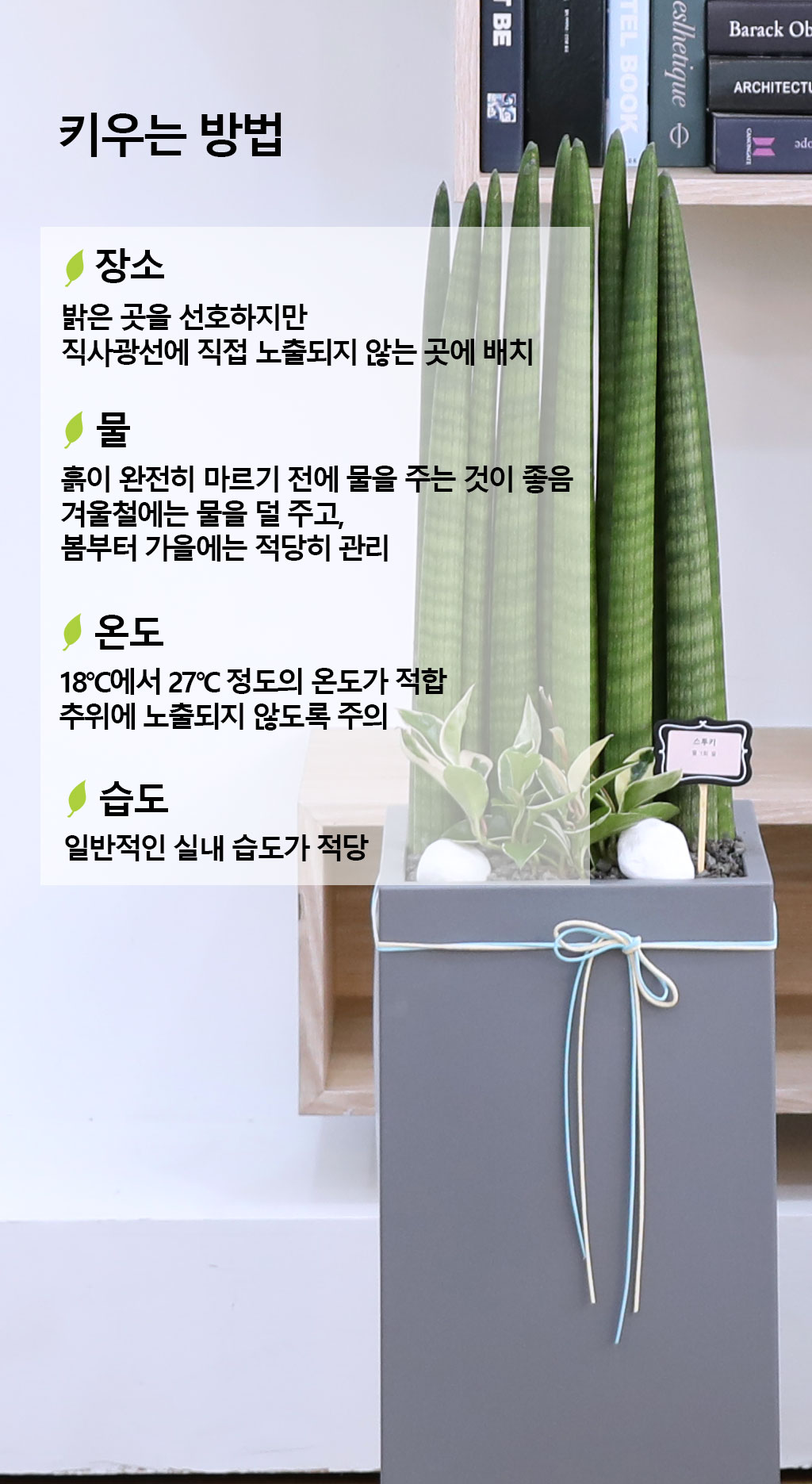 Ծ  γ ¡ϴ Ĺ - Ű()  ɹ