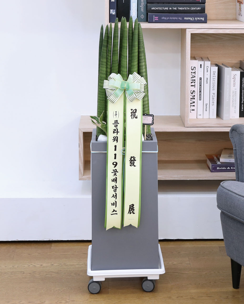 Ծ  γ ¡ϴ Ĺ - Ű()  ɹ