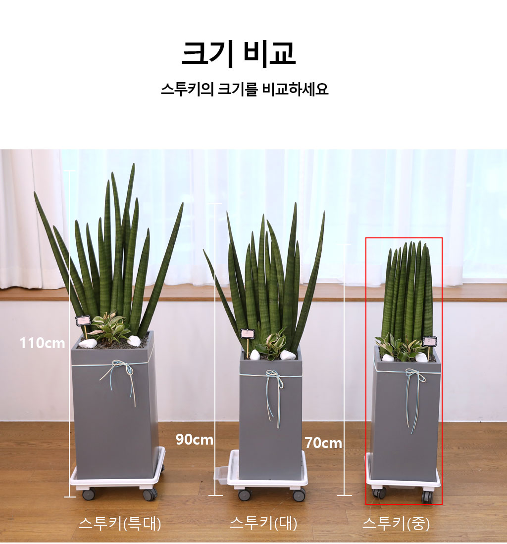 Ծ  γ ¡ϴ Ĺ - Ű()  ɹ