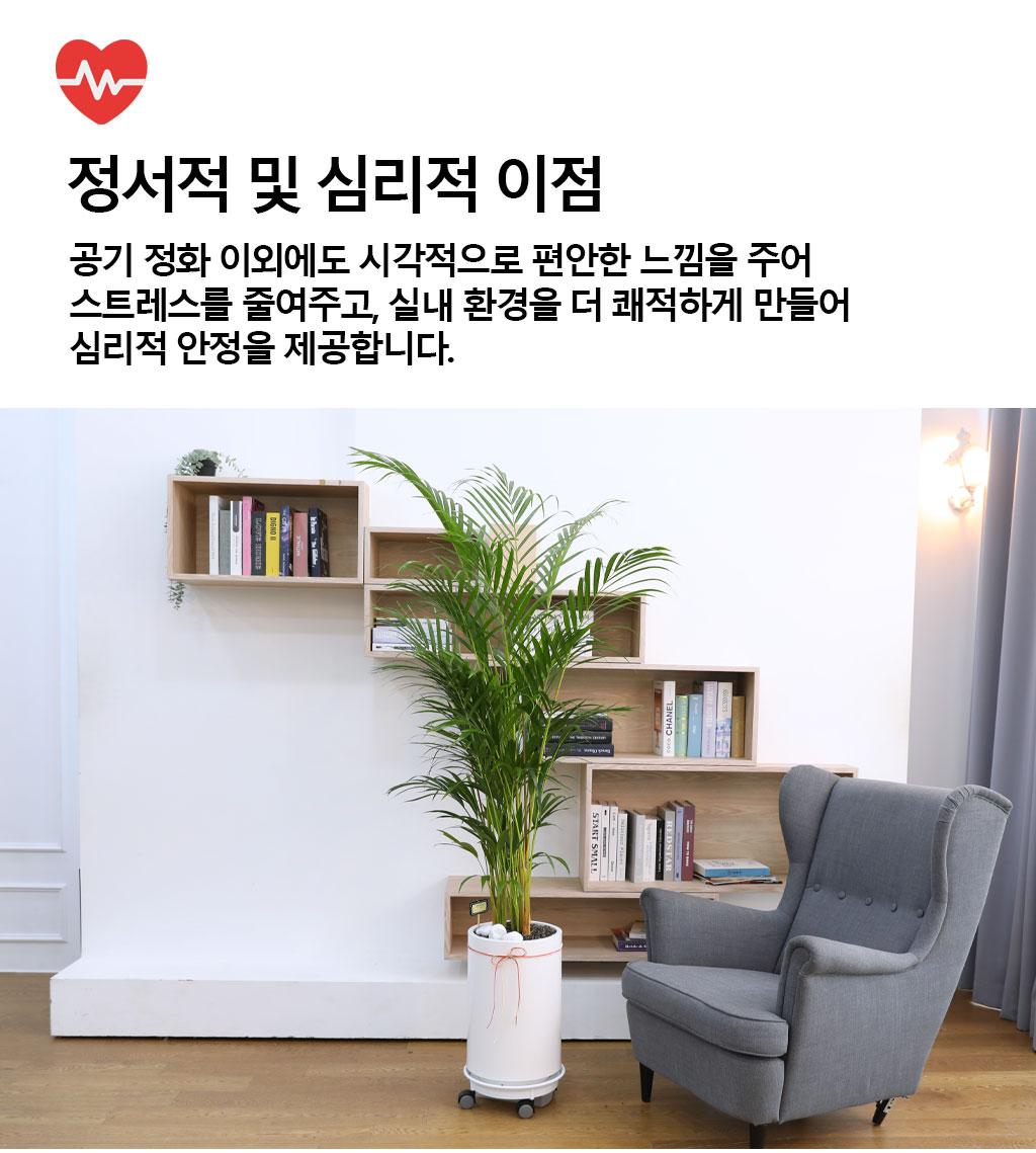   ¡ϴ Ĺ - Ʒī()  ɹ