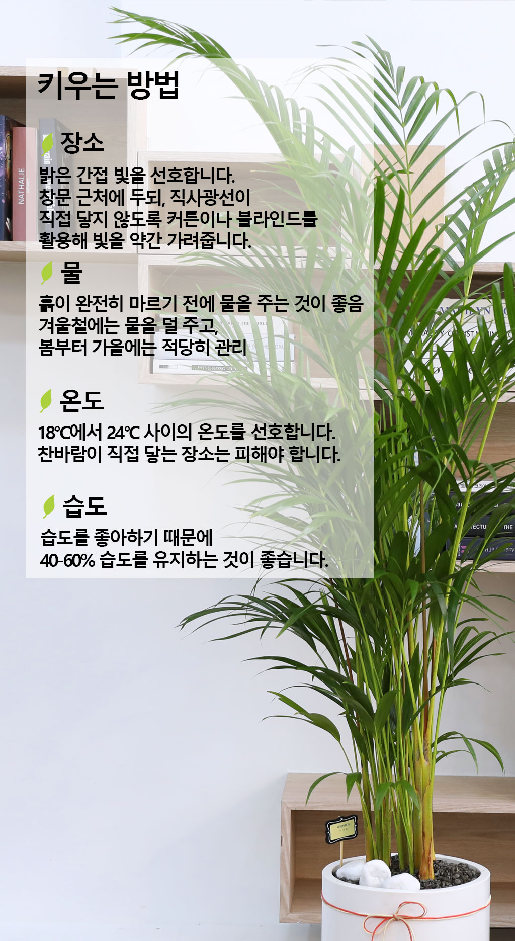   ¡ϴ Ĺ - Ʒī()  ɹ