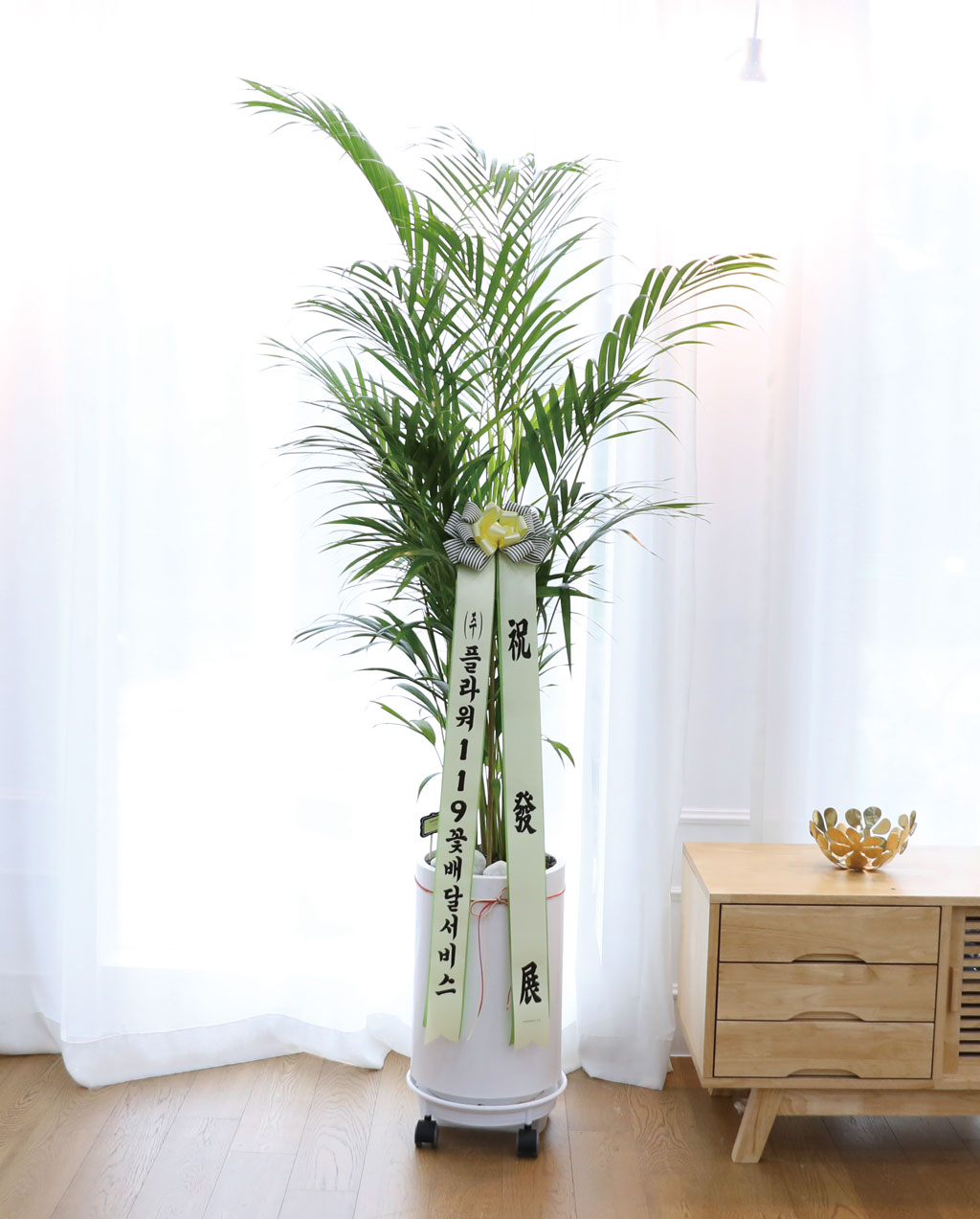   ¡ϴ Ĺ - Ʒī()  ɹ