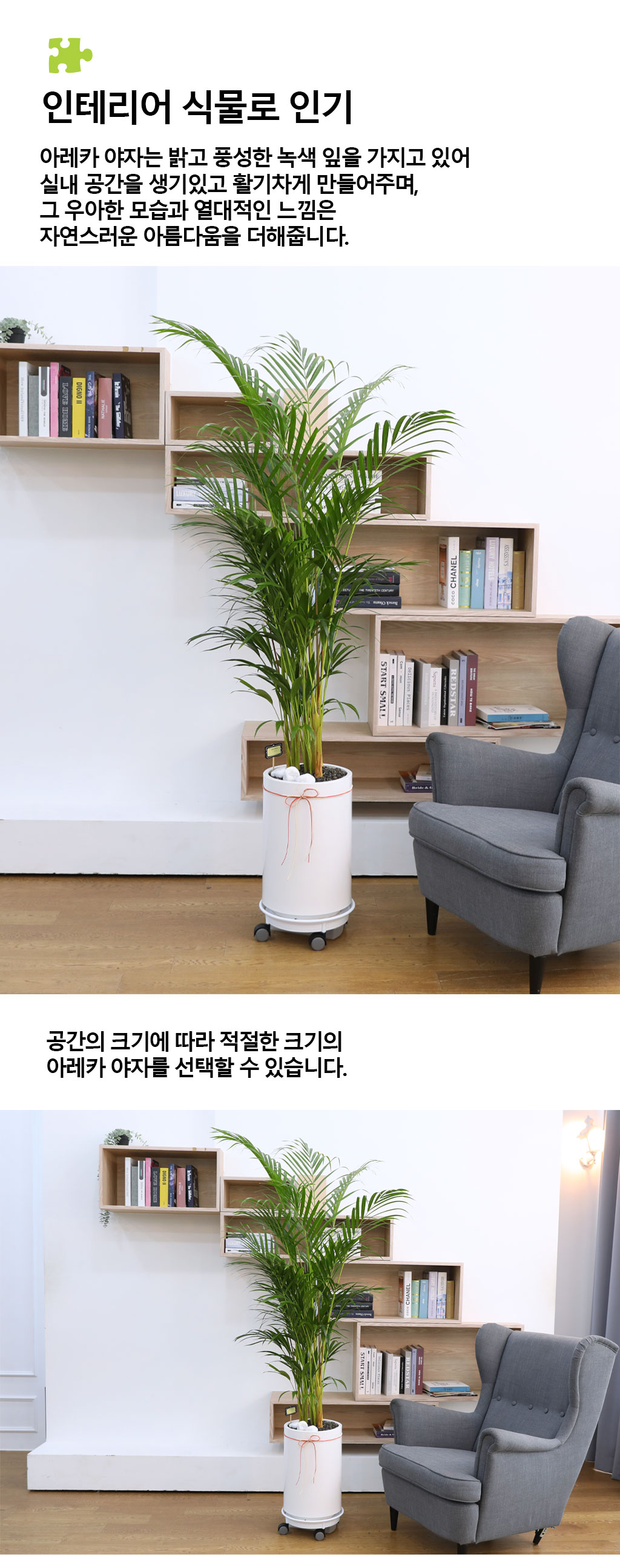 ¹ø¿µ°ú ¼ºÀåÀ» »ó¡ÇÏ´Â ½Ä¹° - ¾Æ·¹Ä«(´ë) ²ÉÁý ²É¹è´Þ