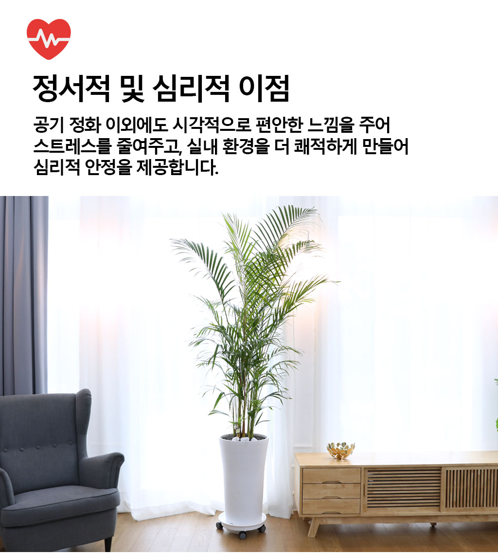 ¹ø¿µ°ú ¼ºÀåÀ» »ó¡ÇÏ´Â ½Ä¹° - ¾Æ·¹Ä«(Ư) ²ÉÁý ²É¹è´Þ