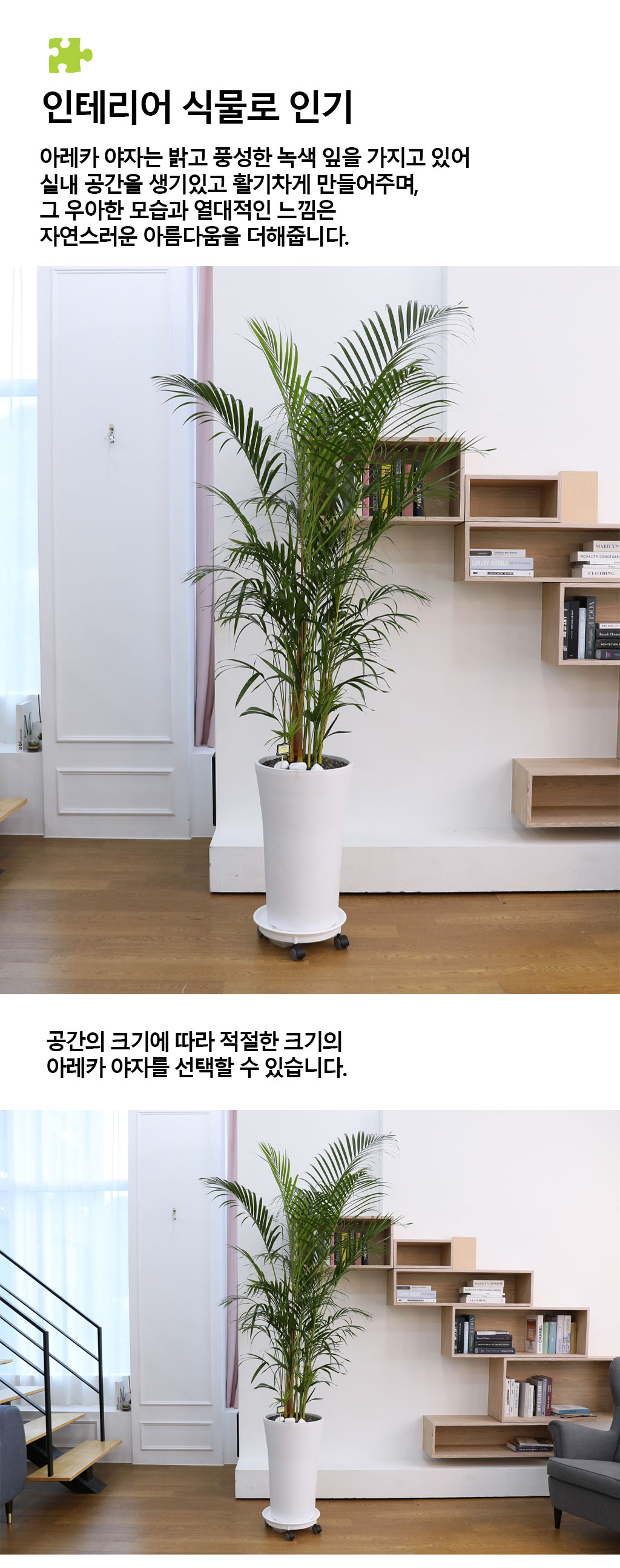 ¹ø¿µ°ú ¼ºÀåÀ» »ó¡ÇÏ´Â ½Ä¹° - ¾Æ·¹Ä«(Ư) ²ÉÁý ²É¹è´Þ