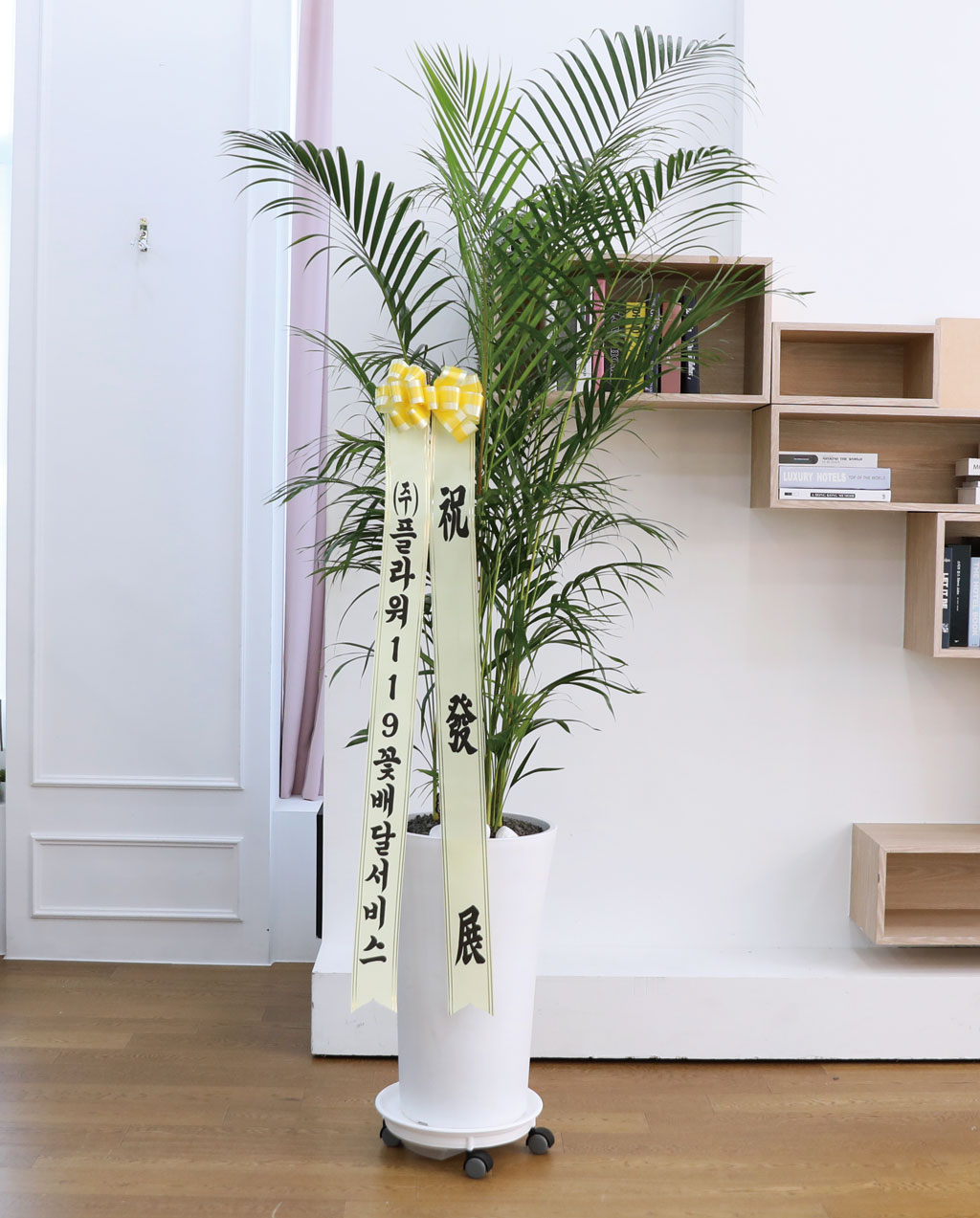 ¹ø¿µ°ú ¼ºÀåÀ» »ó¡ÇÏ´Â ½Ä¹° - ¾Æ·¹Ä«(Ư) ²ÉÁý ²É¹è´Þ