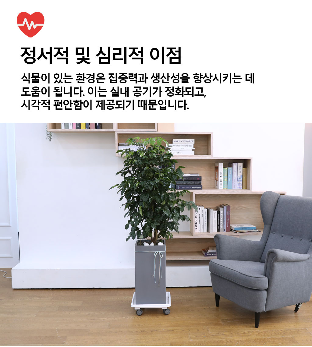 ġʴ Ƹٿ  - 캸()  ɹ