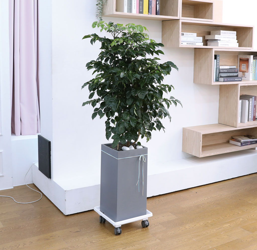 ġʴ Ƹٿ  - 캸()  ɹ