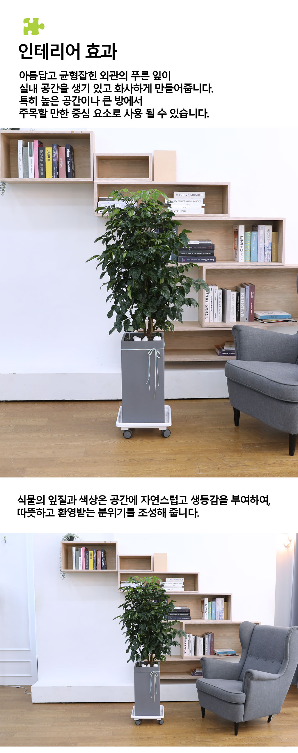 ġʴ Ƹٿ  - 캸()  ɹ