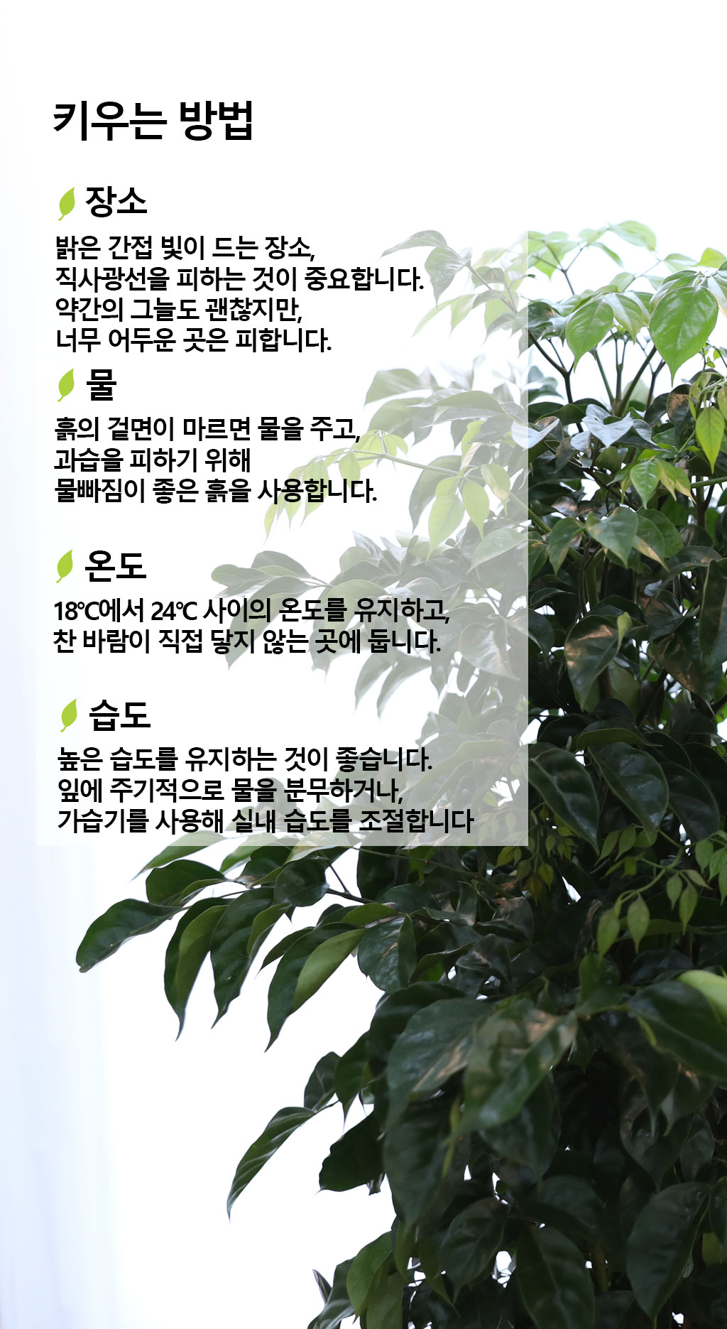 ġʴ Ƹٿ  - 캸()  ɹ