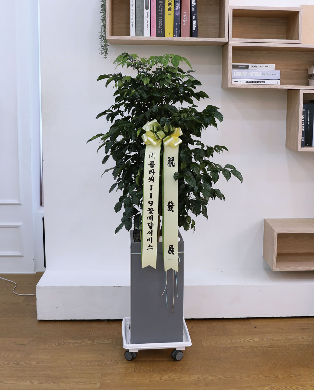 ġʴ Ƹٿ  - 캸()  ɹ