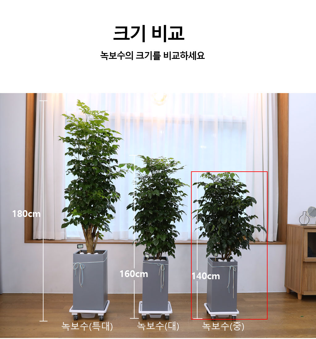 ġʴ Ƹٿ  - 캸()  ɹ