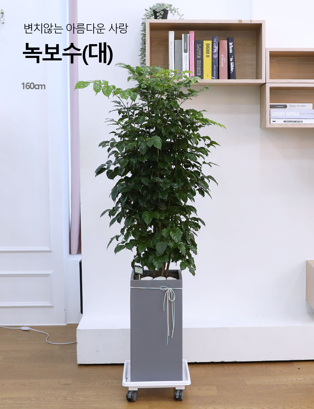 º¯Ä¡¾Ê´Â ¾Æ¸§´Ù¿î »ç¶û - ³ìº¸¼ö(´ë)