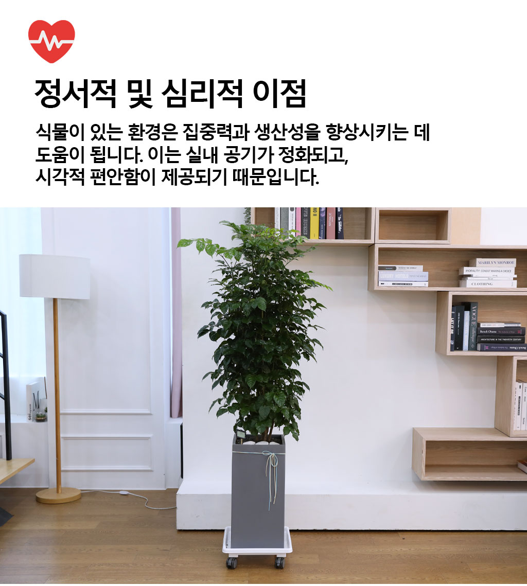 º¯Ä¡¾Ê´Â ¾Æ¸§´Ù¿î »ç¶û - ³ìº¸¼ö(´ë)