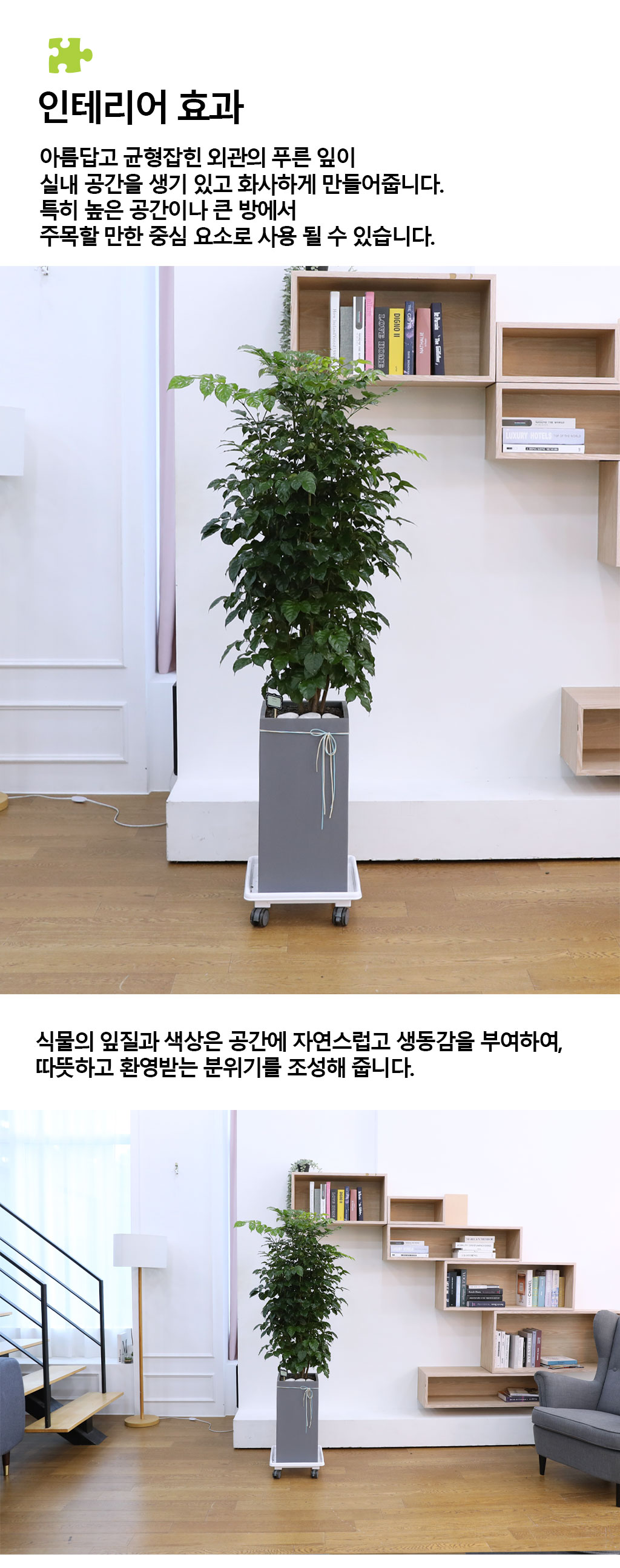 º¯Ä¡¾Ê´Â ¾Æ¸§´Ù¿î »ç¶û - ³ìº¸¼ö(´ë)