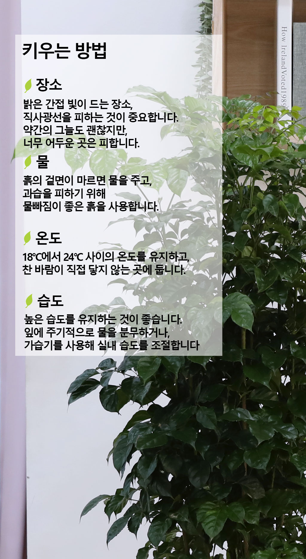 º¯Ä¡¾Ê´Â ¾Æ¸§´Ù¿î »ç¶û - ³ìº¸¼ö(´ë)