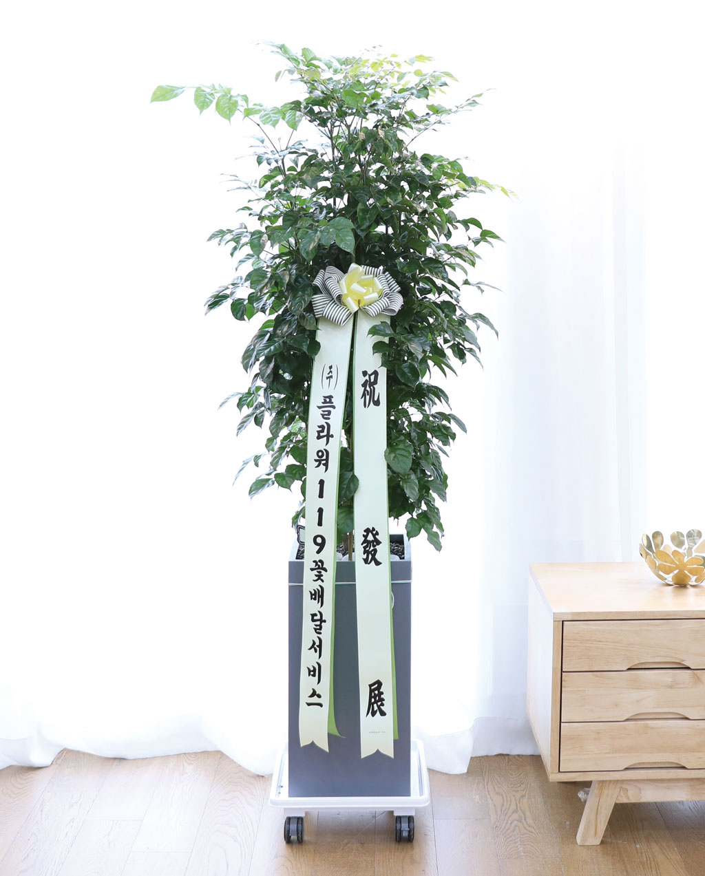 º¯Ä¡¾Ê´Â ¾Æ¸§´Ù¿î »ç¶û - ³ìº¸¼ö(´ë)